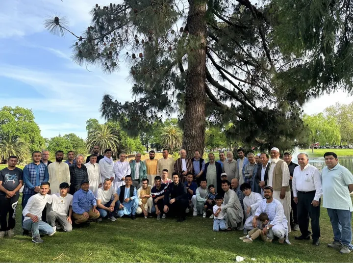 A large group of community members posing together beneath a tall pine tree in a park